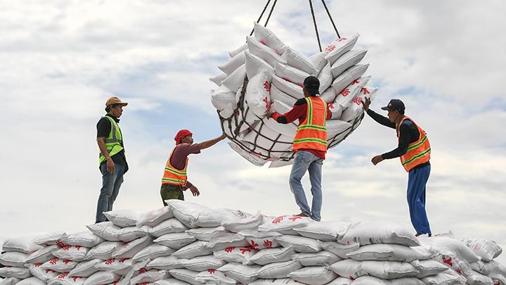 Praktik Mafia Gula Rugikan Petani Tebu, Pemerintah Belum Tegas Atasi Kebocoran Distribusi