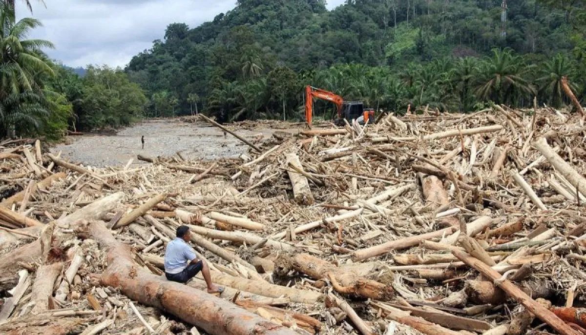 Bareskrim Selidiki Dugaan Pembalakan Liar di Sumatera