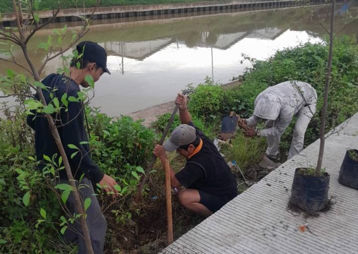 Sambut HUT ke-33 Kota Tangerang, Banksasuci Hijaukan Cisadane dengan 3.300 Pohon