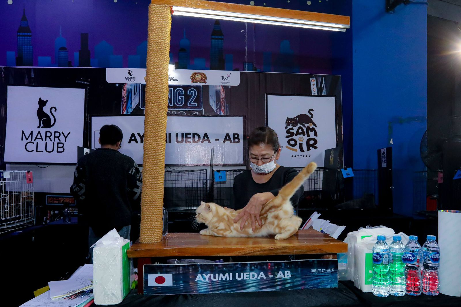 Shibuya Catwalk International Cat Show Digelar di Kota Bandung, Dorong Ekosistem Pet Care Berstandar Global