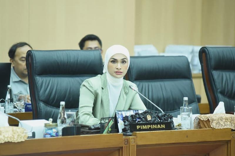 Komisi XII Dukung Penuh Kementerian LH Tindak Tegas Perusahaan Perusak Lingkungan